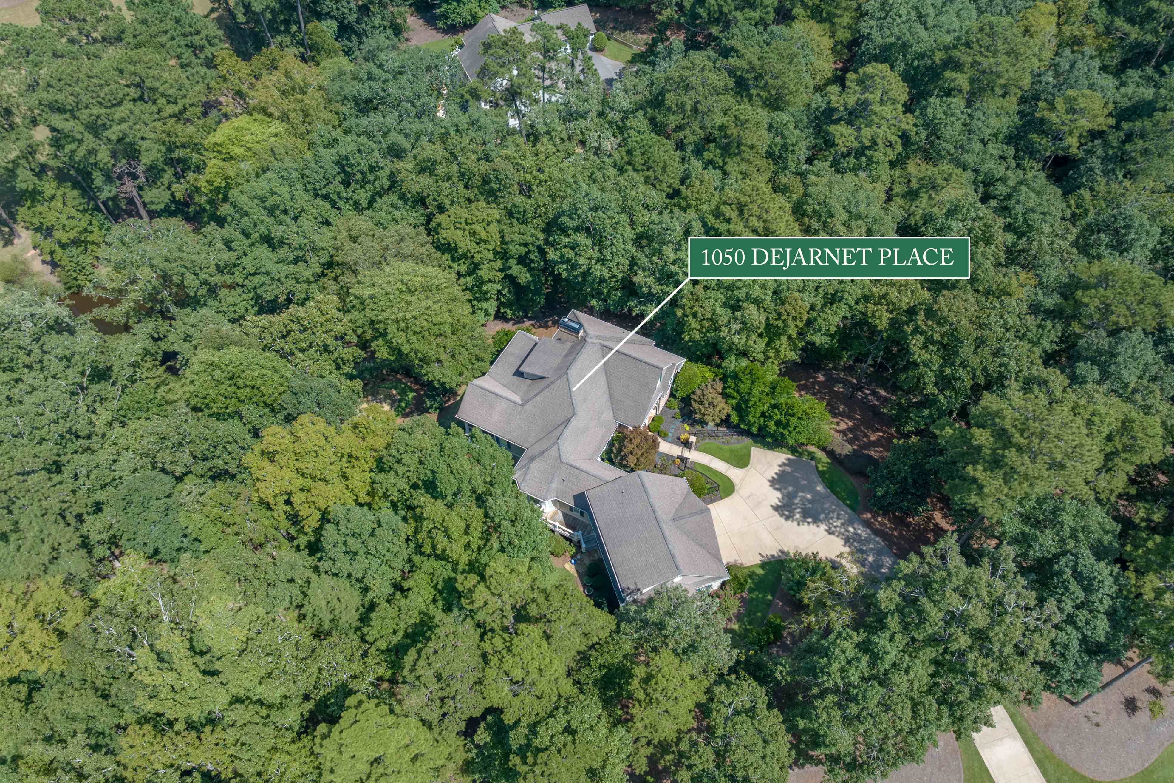 1050 Dejarnet Place image 56